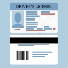 FEMALE  driver-s-license ( front and back )